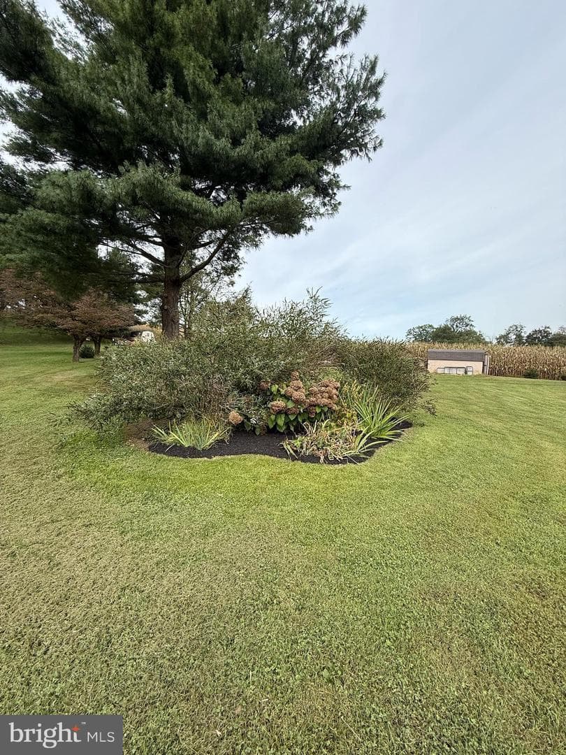 440 Scotland Road photo 35