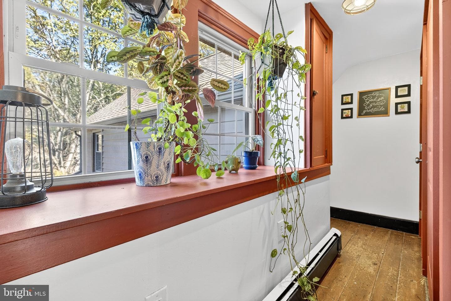 249 Blue Lane photo 20