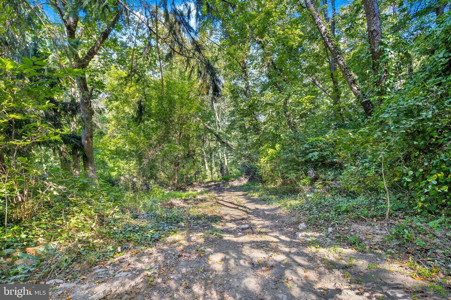 249 Blue Lane photo 63