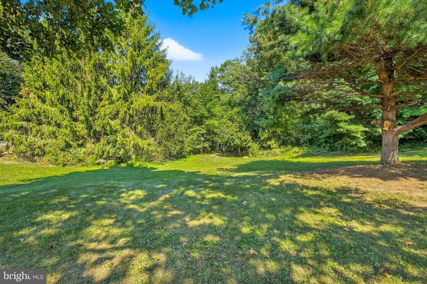 249 Blue Lane photo 67