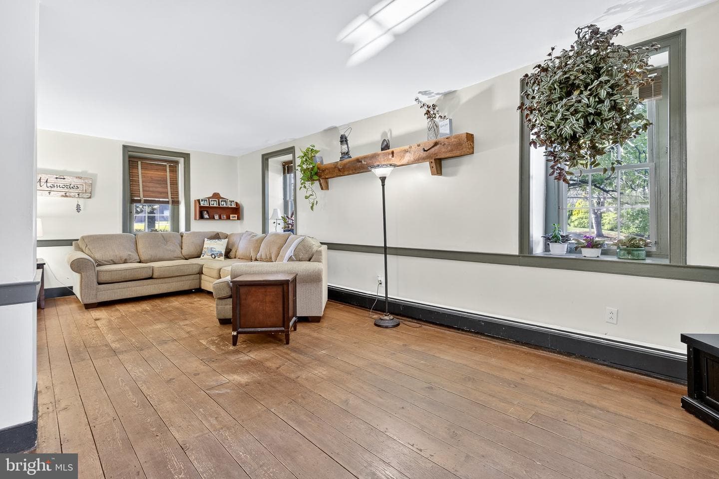 249 Blue Lane photo 8