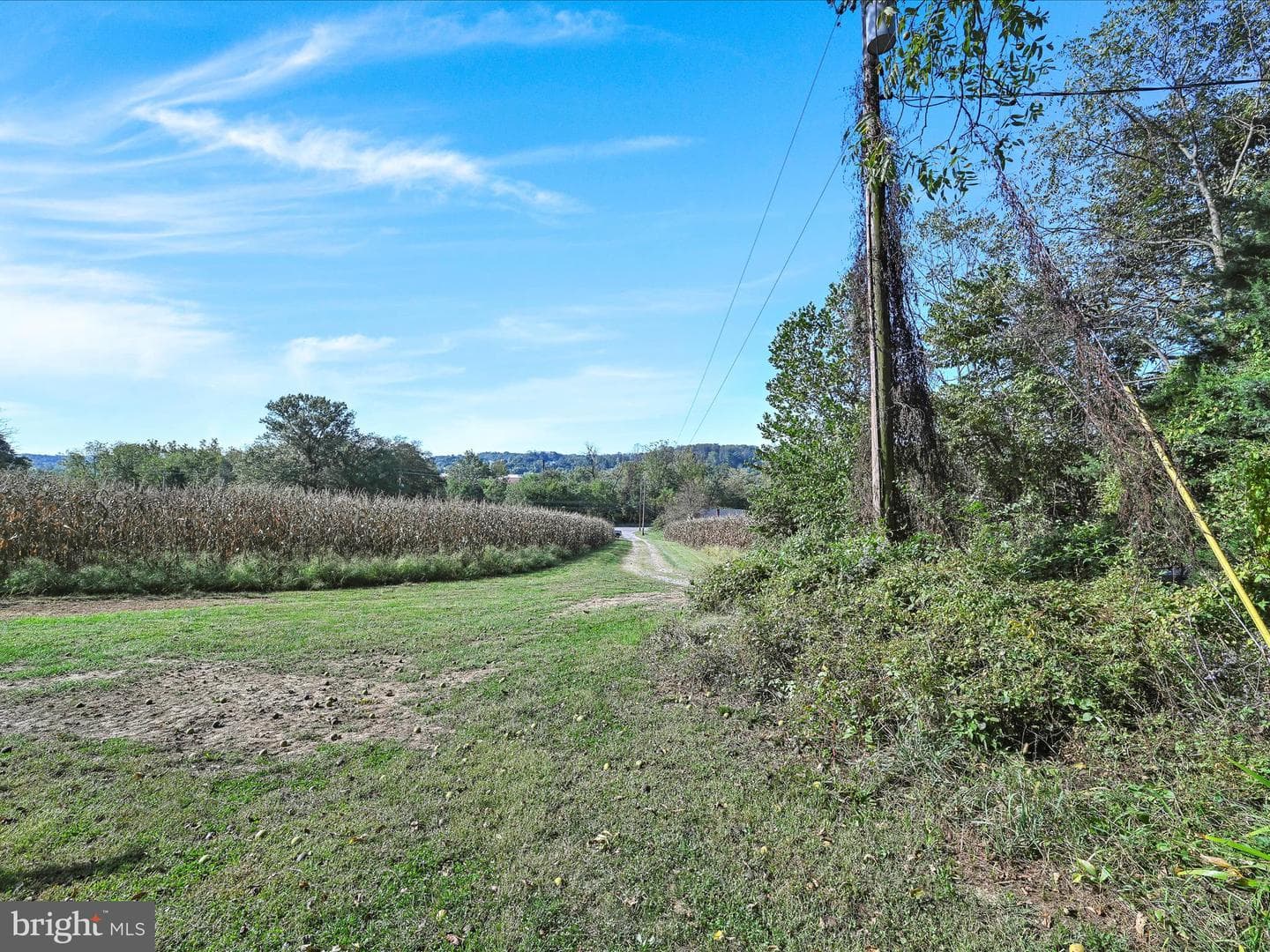 2496 River Road photo 35