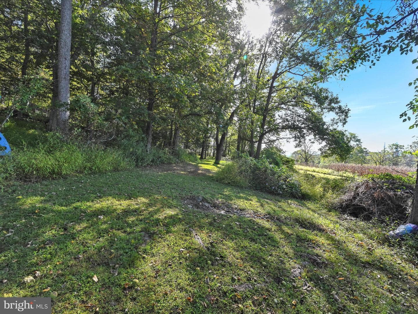2496 River Road photo 36