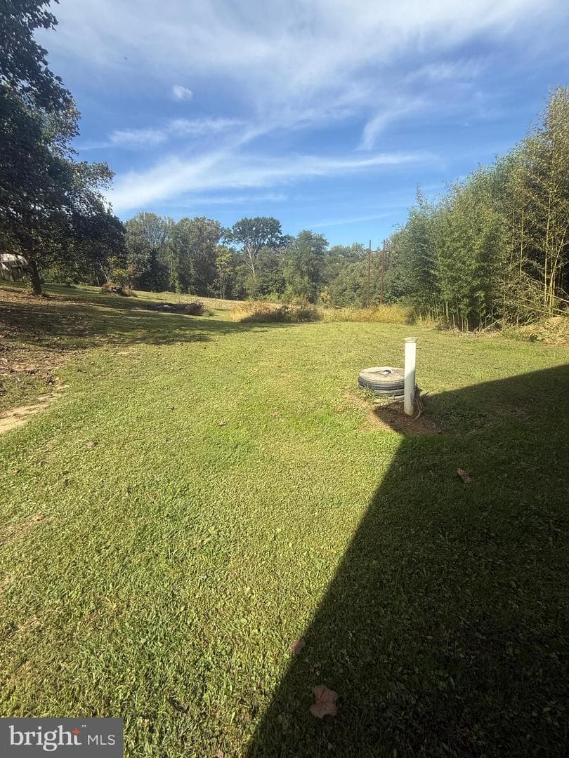 3532 River Road photo 92