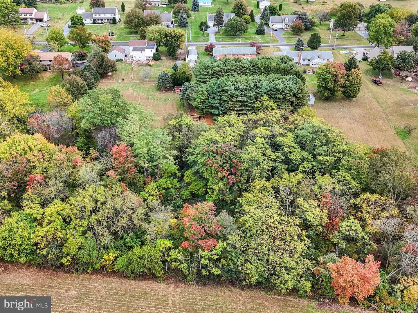 1443 Shumaker Road photo 58