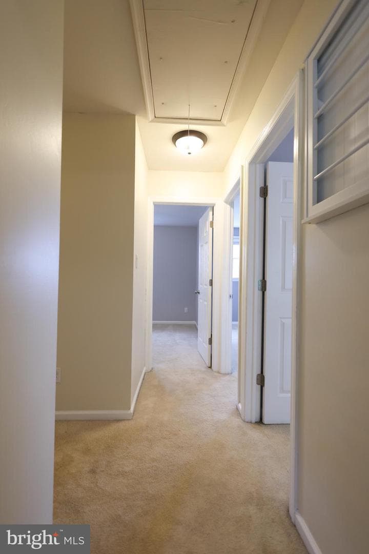 909 Hidden Hollow Drive photo 39