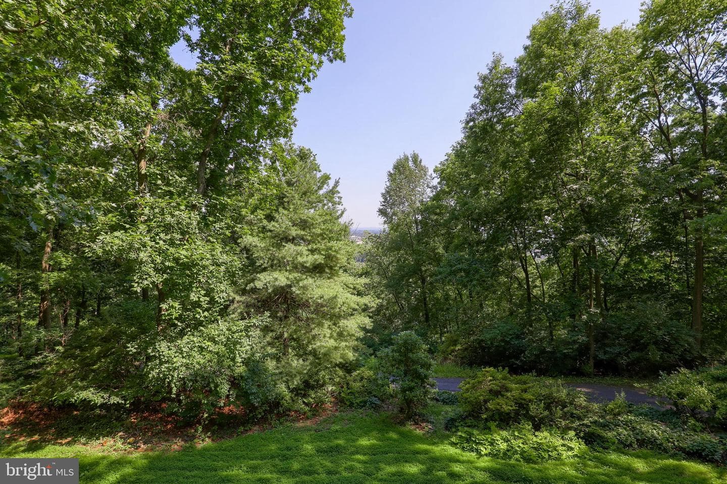 2487 Chestnut Ridge Drive photo 15