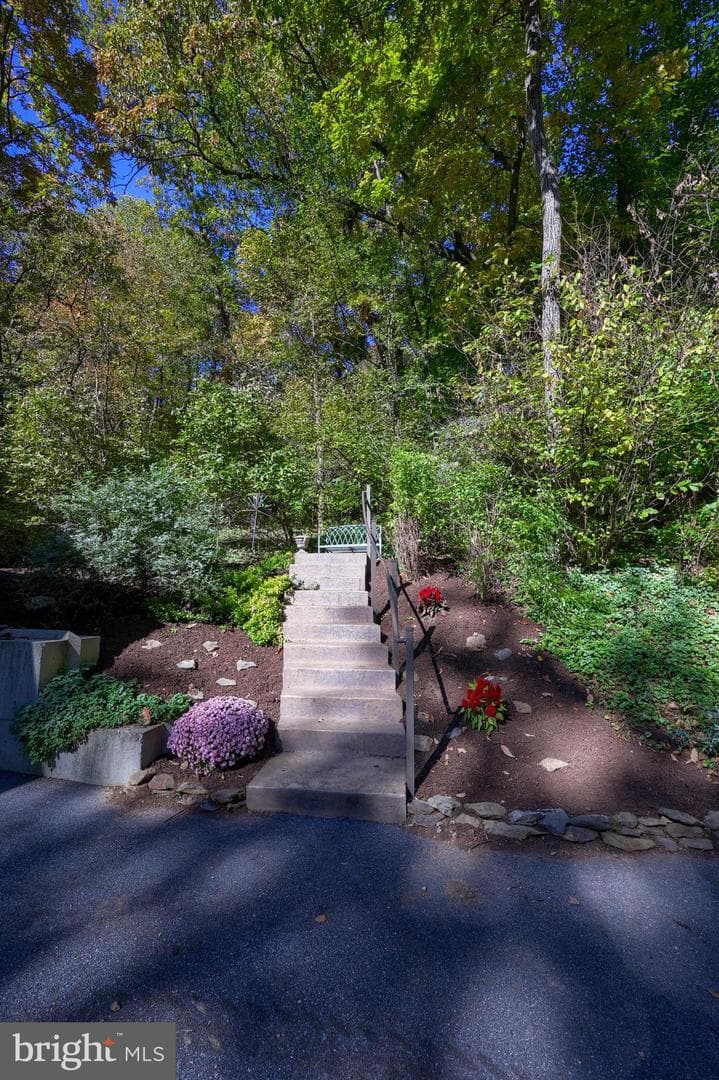 2487 Chestnut Ridge Drive photo 22
