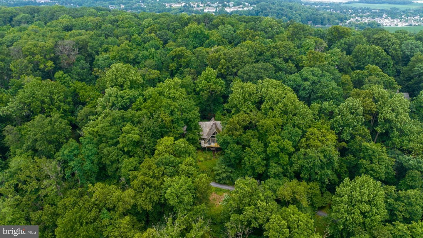 2487 Chestnut Ridge Drive photo 24