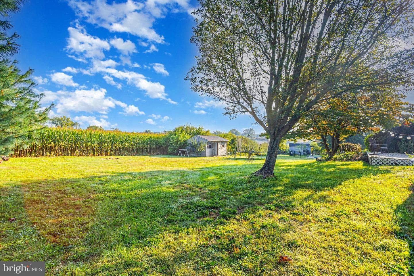 3016 Miller Road photo 37