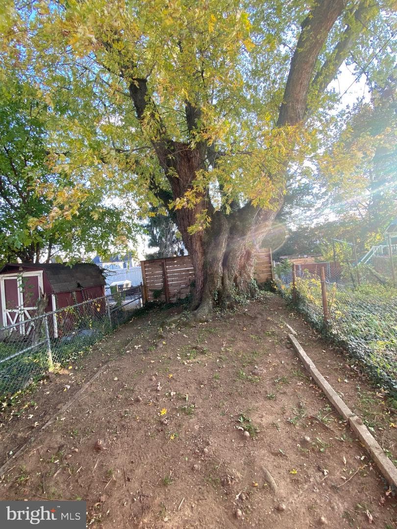 518 Spruce Street photo 13