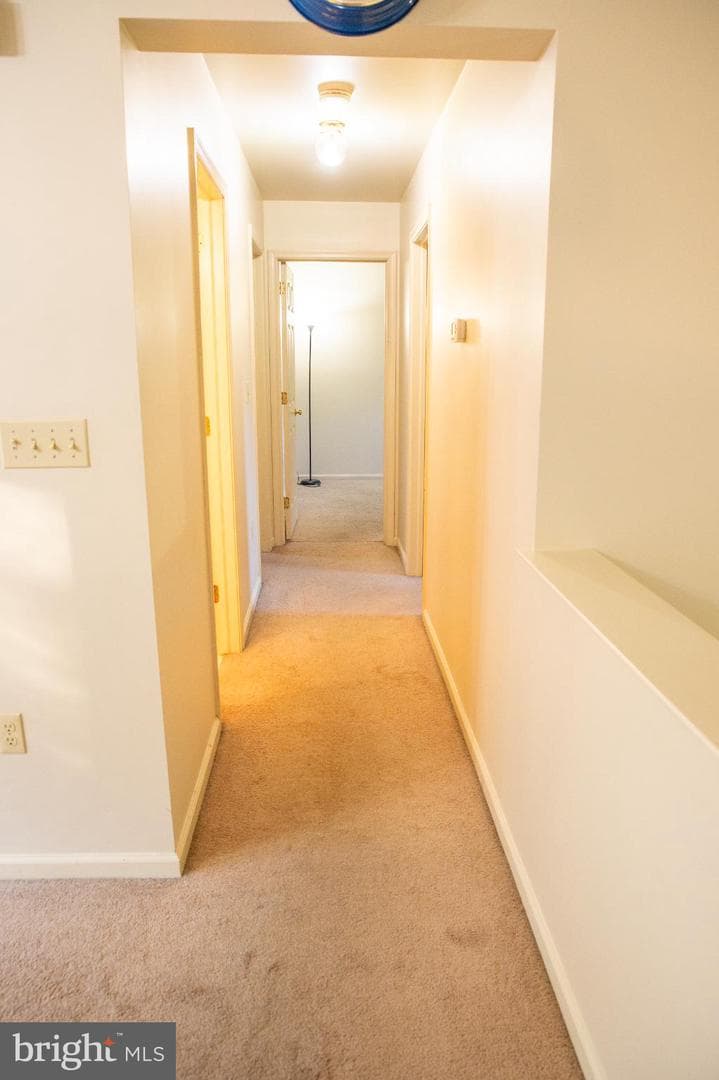 23 Wade Drive photo 16