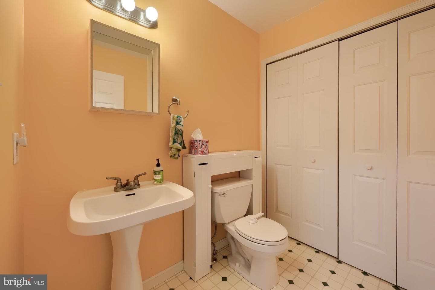 489 Wood Duck Drive photo 25