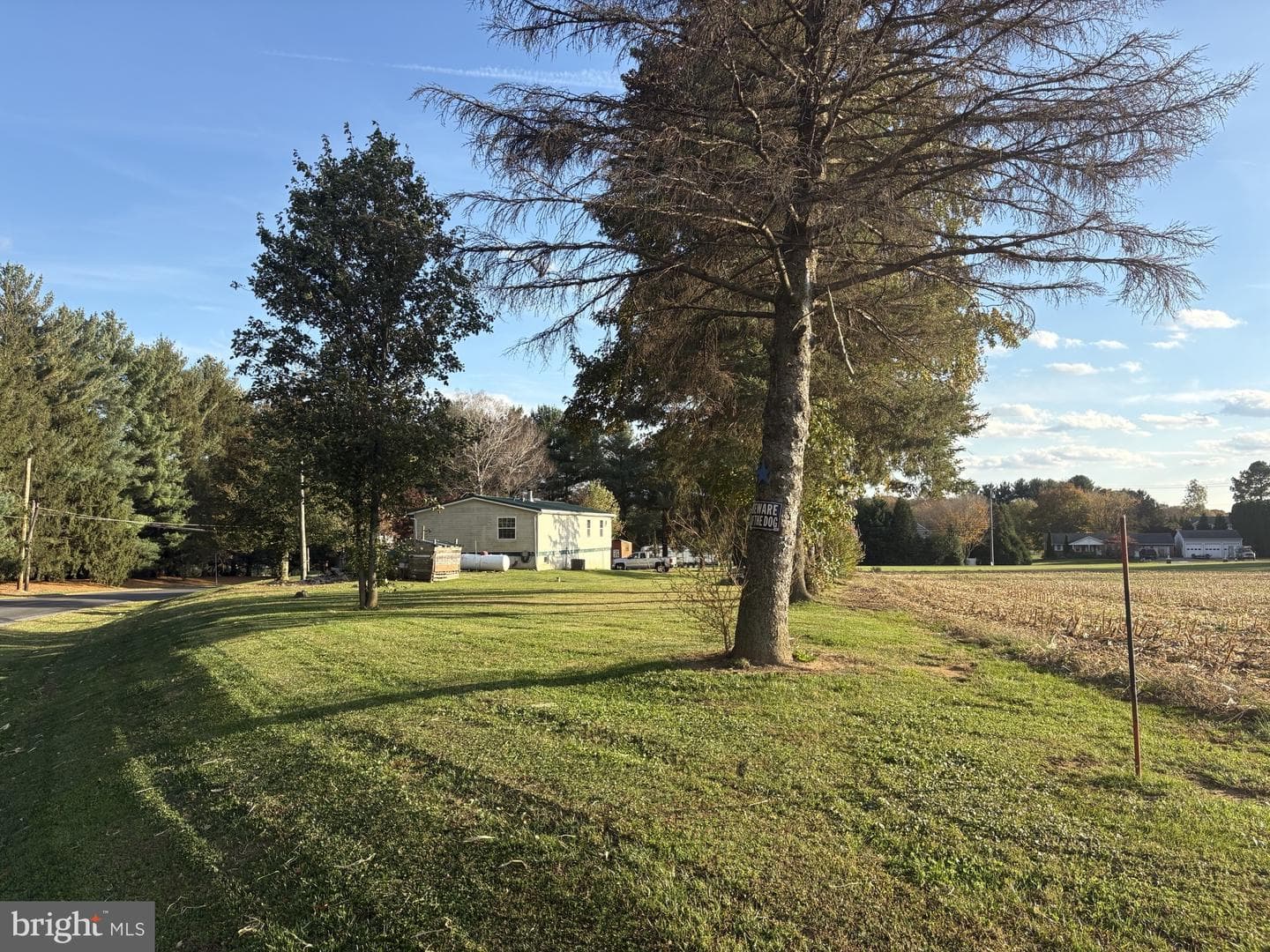 110 Green Lane photo 2