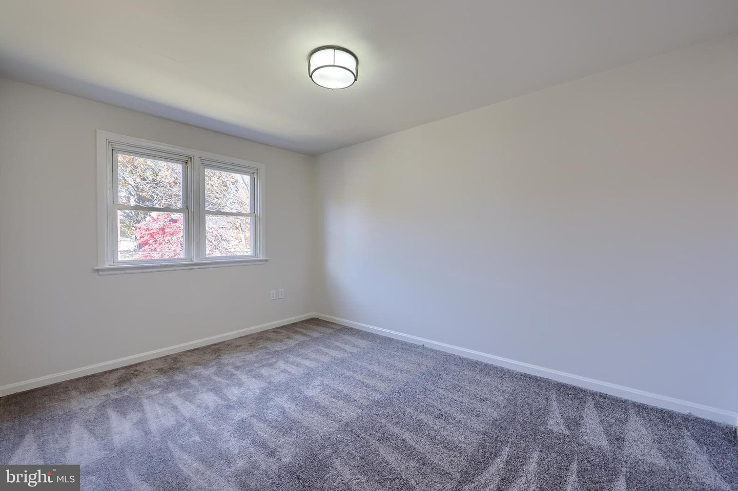 1244 Union Street photo 19