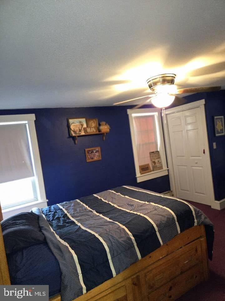 57 N Charlotte Street photo 20