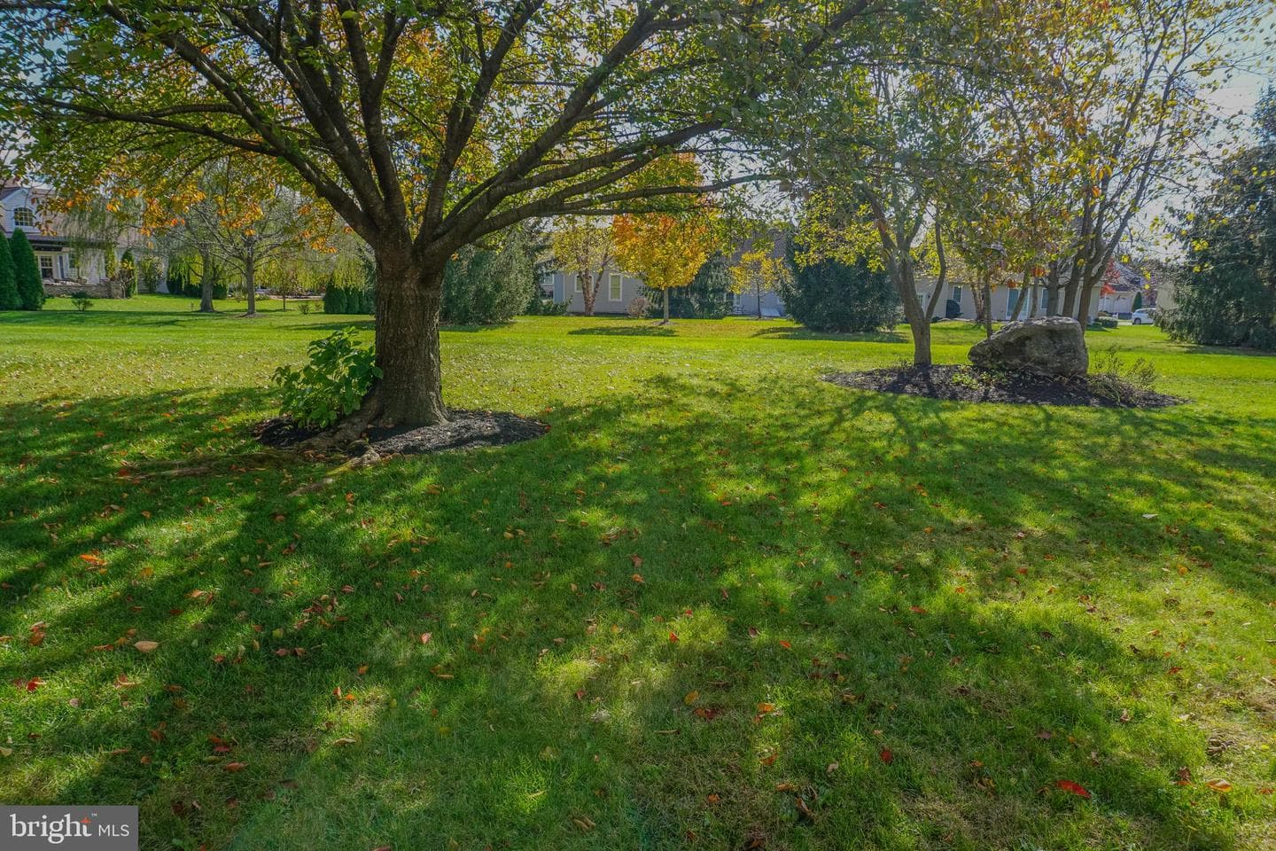 1221 Brighton Avenue photo 57