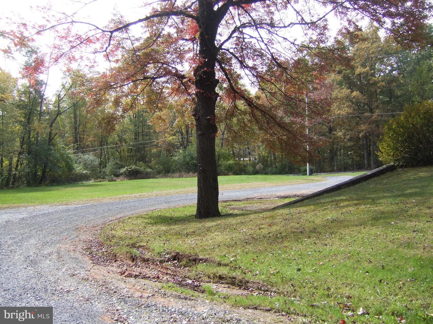 1265 Swamp Bridge Road photo 9