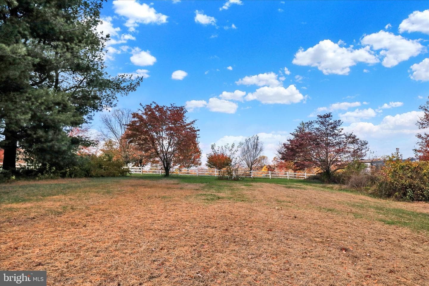 280 Snavely Mill Road photo 40