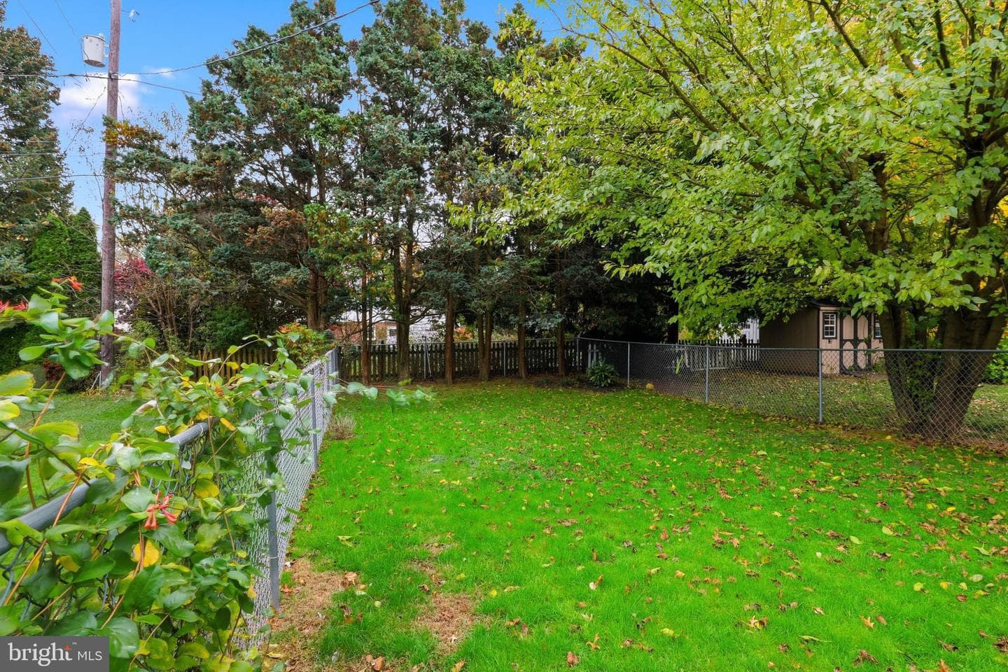1521 Queen Lane photo 28