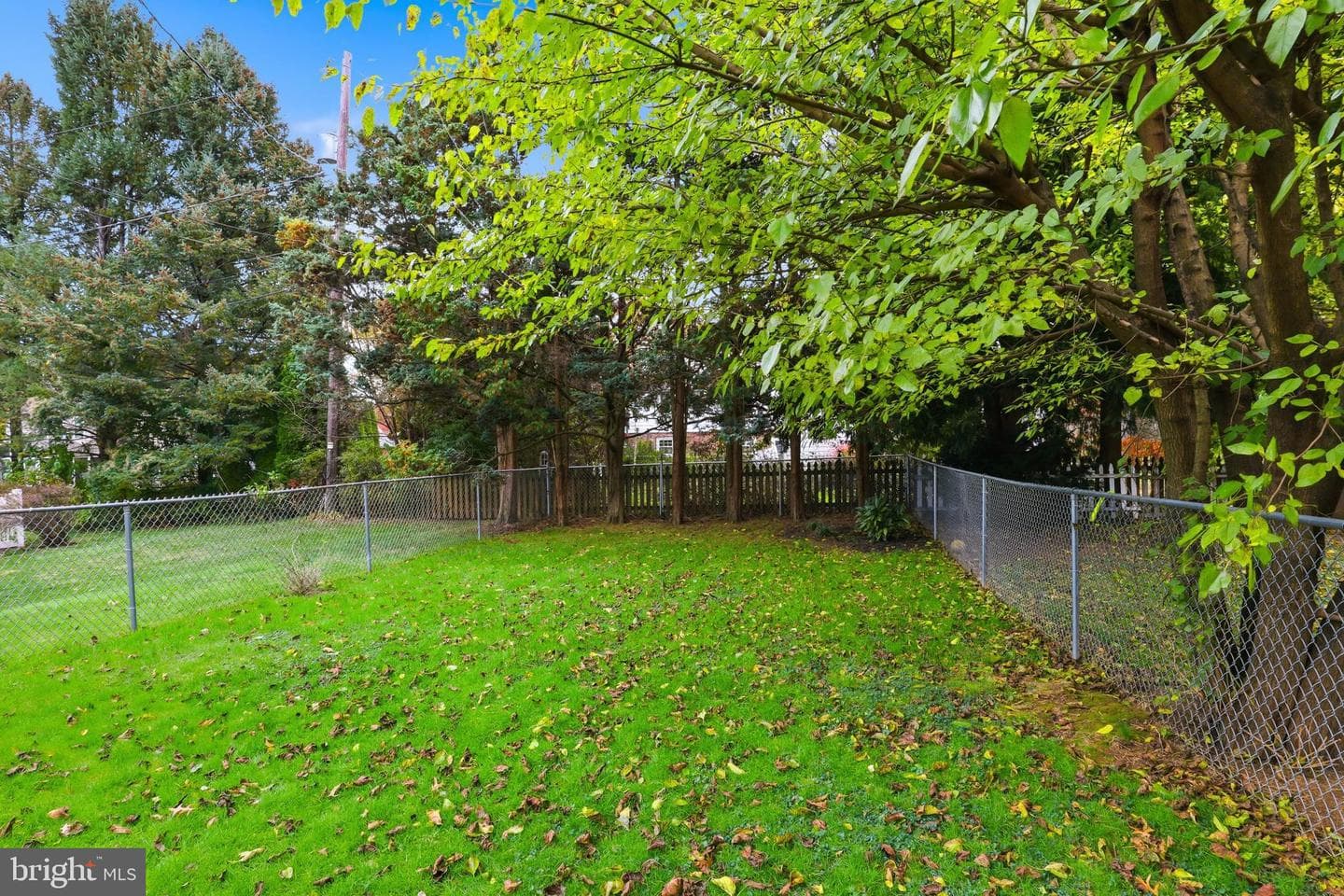 1521 Queen Lane photo 29