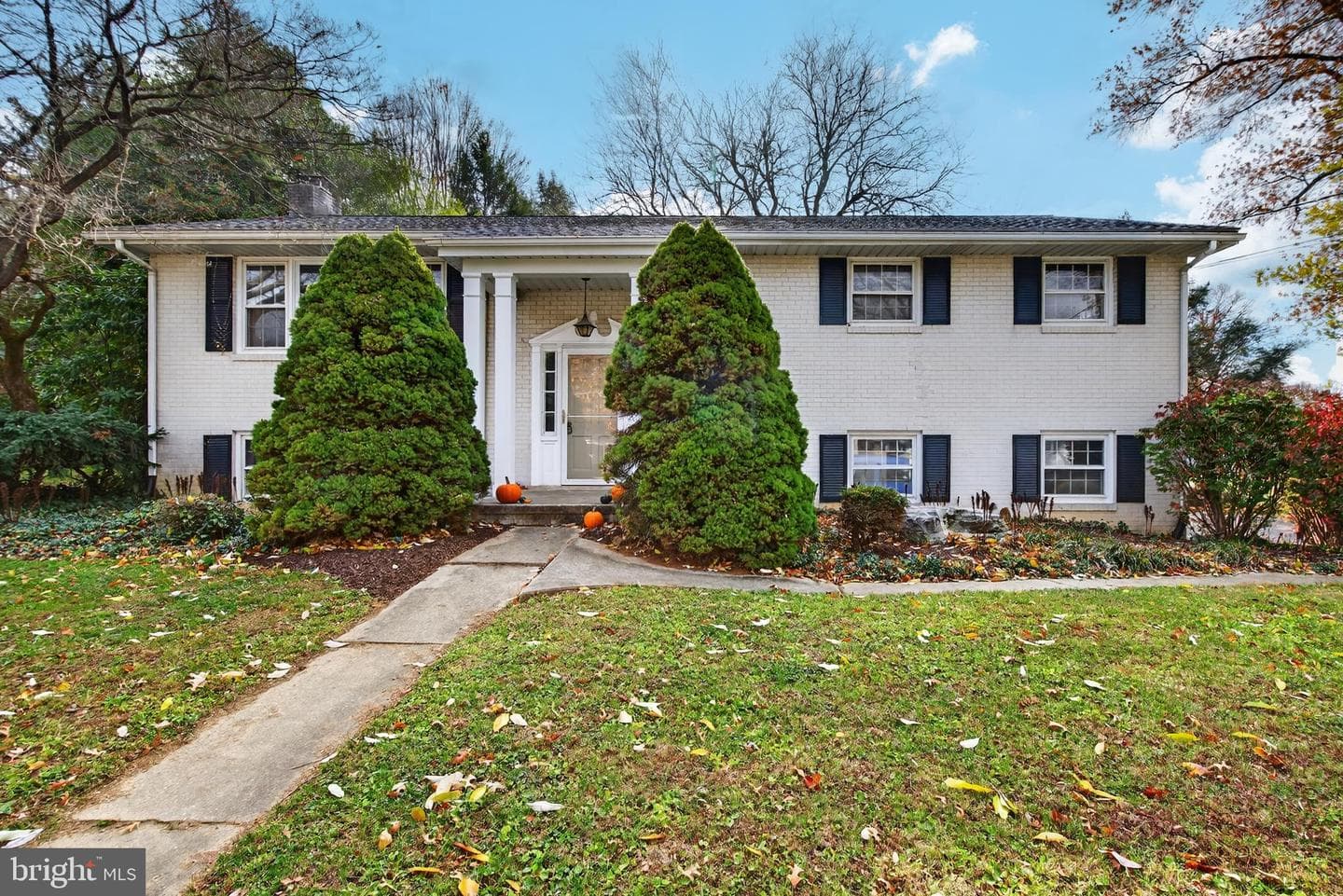 11 Wolf Road