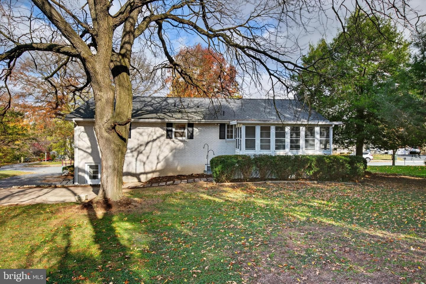 11 Wolf Road photo 33
