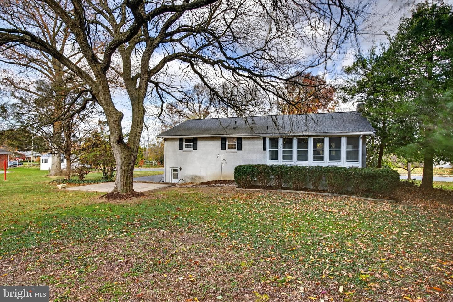 11 Wolf Road photo 35