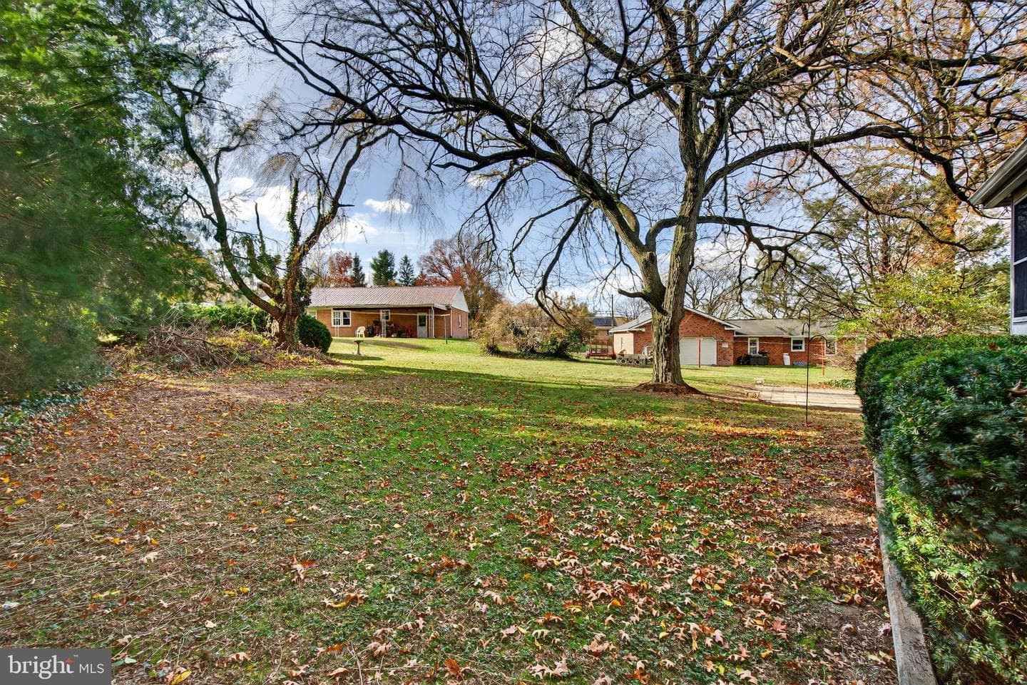 11 Wolf Road photo 36