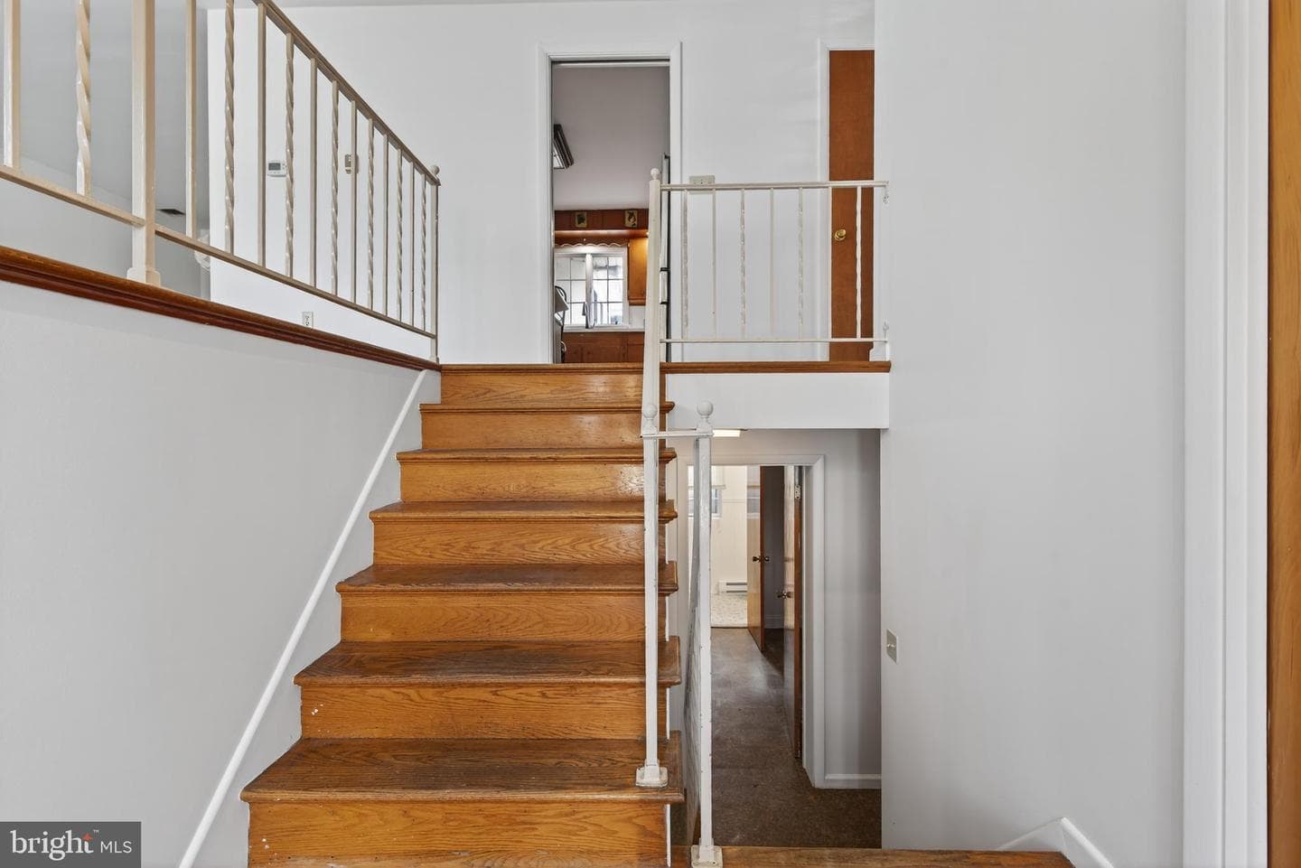 11 Wolf Road photo 4