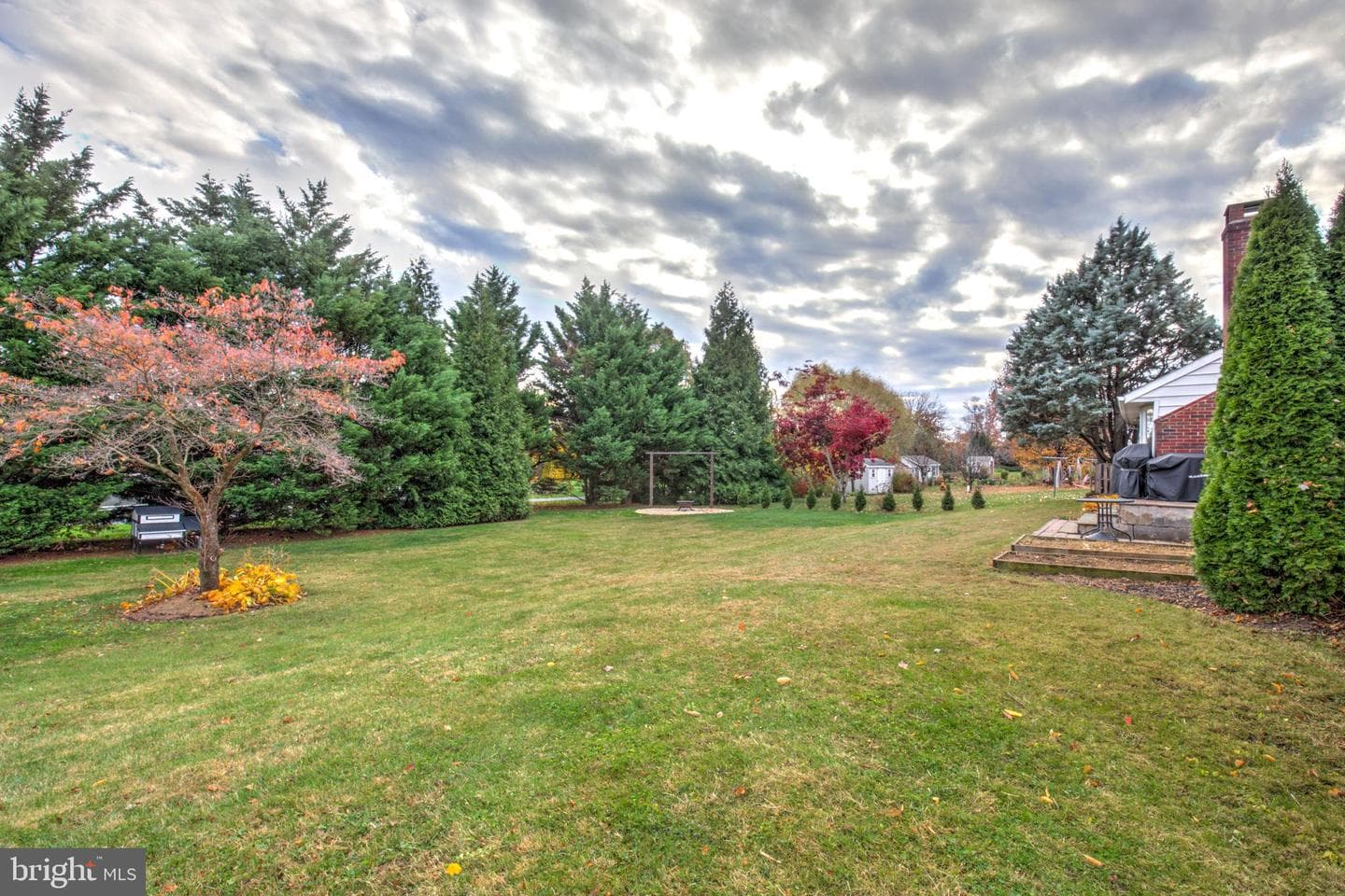 25 Evergreen Street photo 28