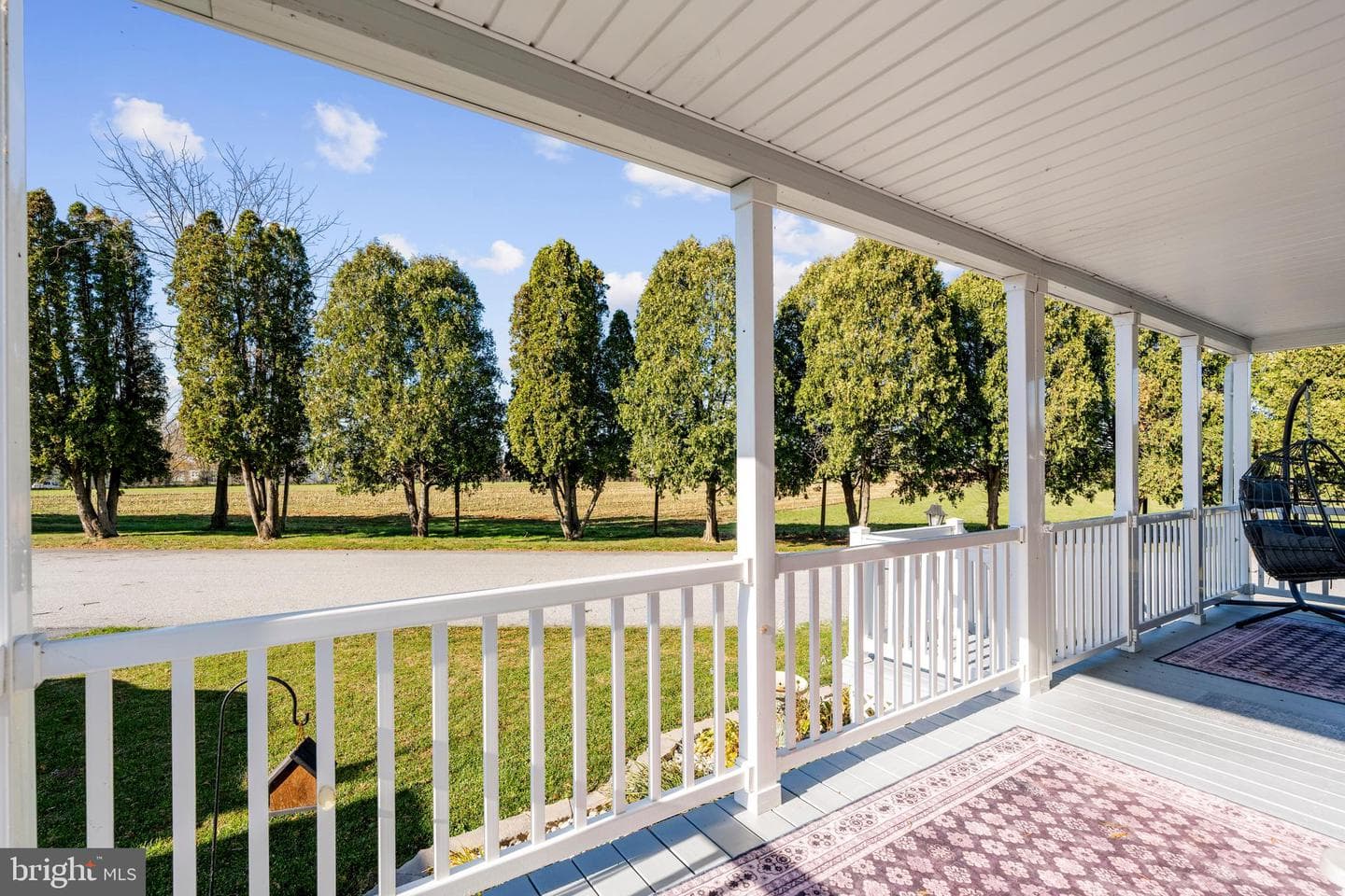26 Ruth Drive photo 23