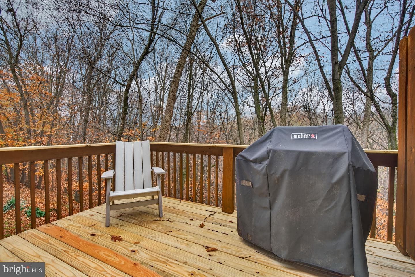 304 Treetops Court photo 39