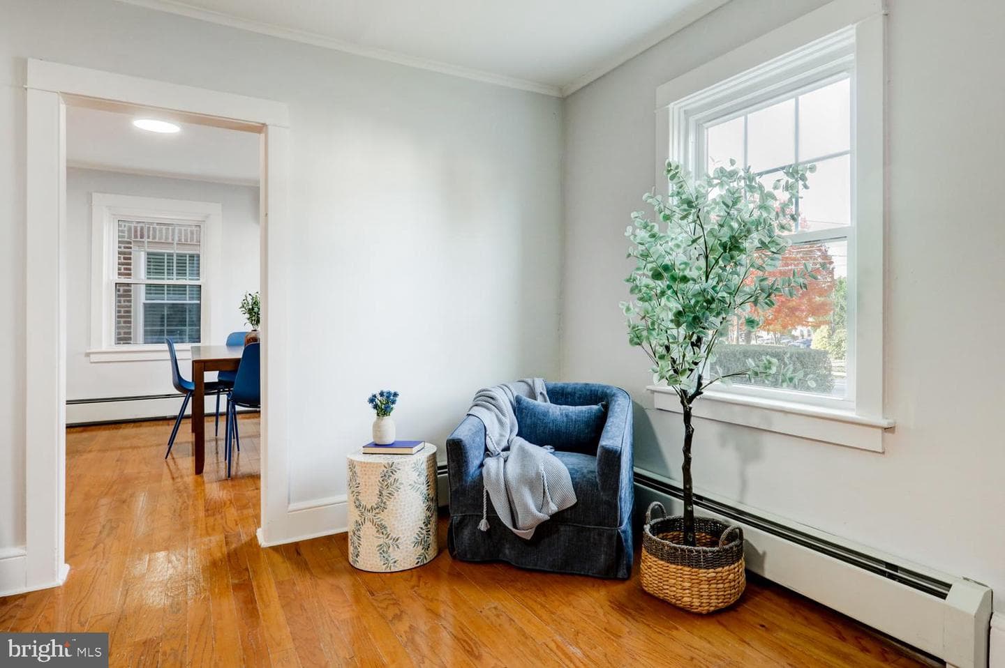 206 Princess Avenue photo 10