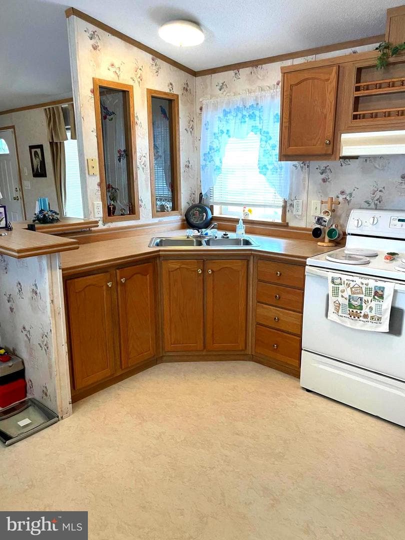 31 Jere Road photo 12