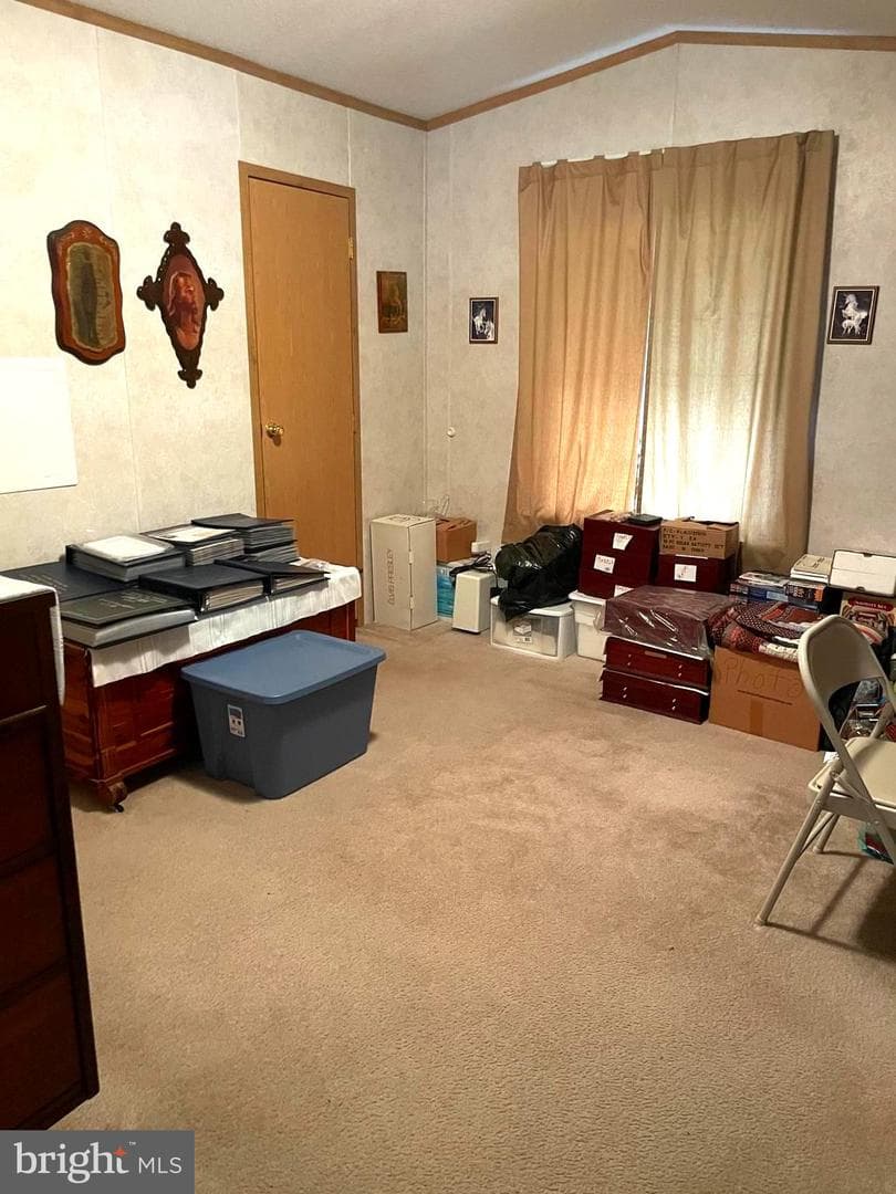 31 Jere Road photo 20