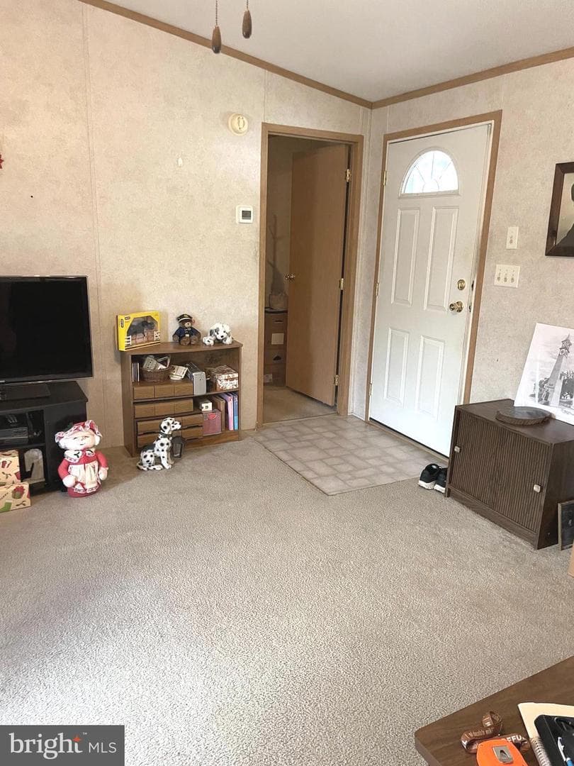 31 Jere Road photo 6