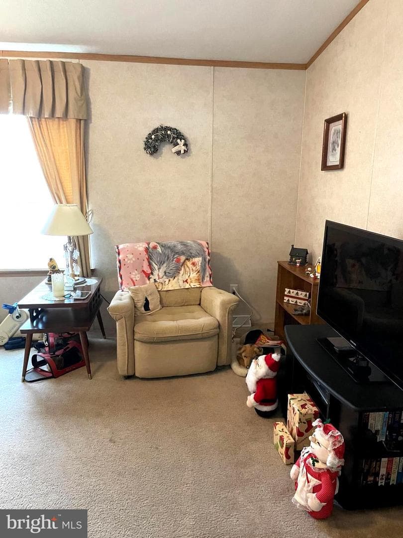 31 Jere Road photo 7