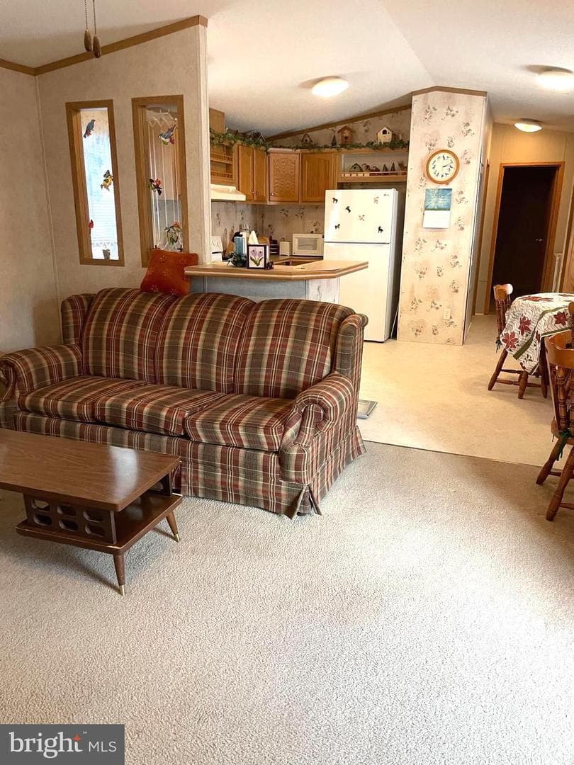 31 Jere Road photo 9