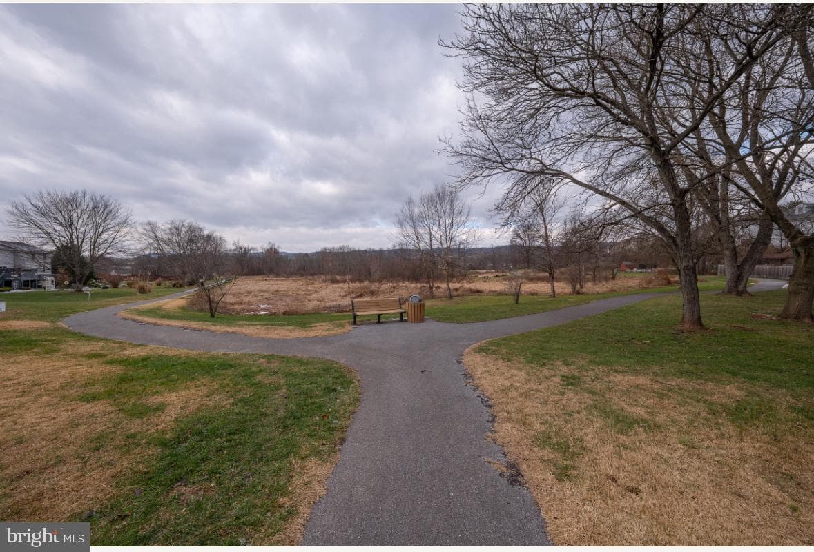 14 Parkview Drive photo 26