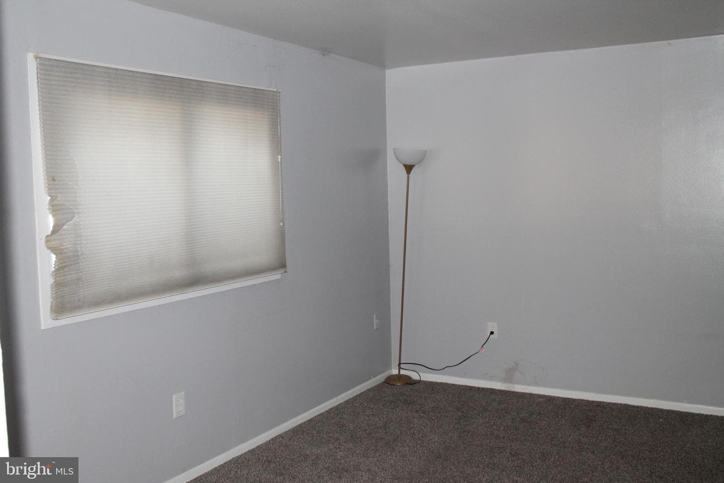 347 Greenland Drive photo 3