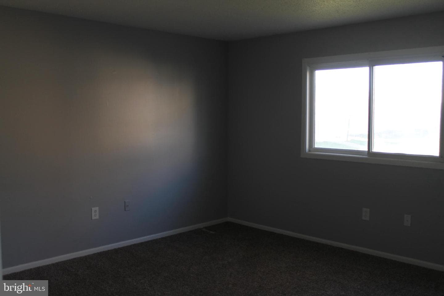 347 Greenland Drive photo 6
