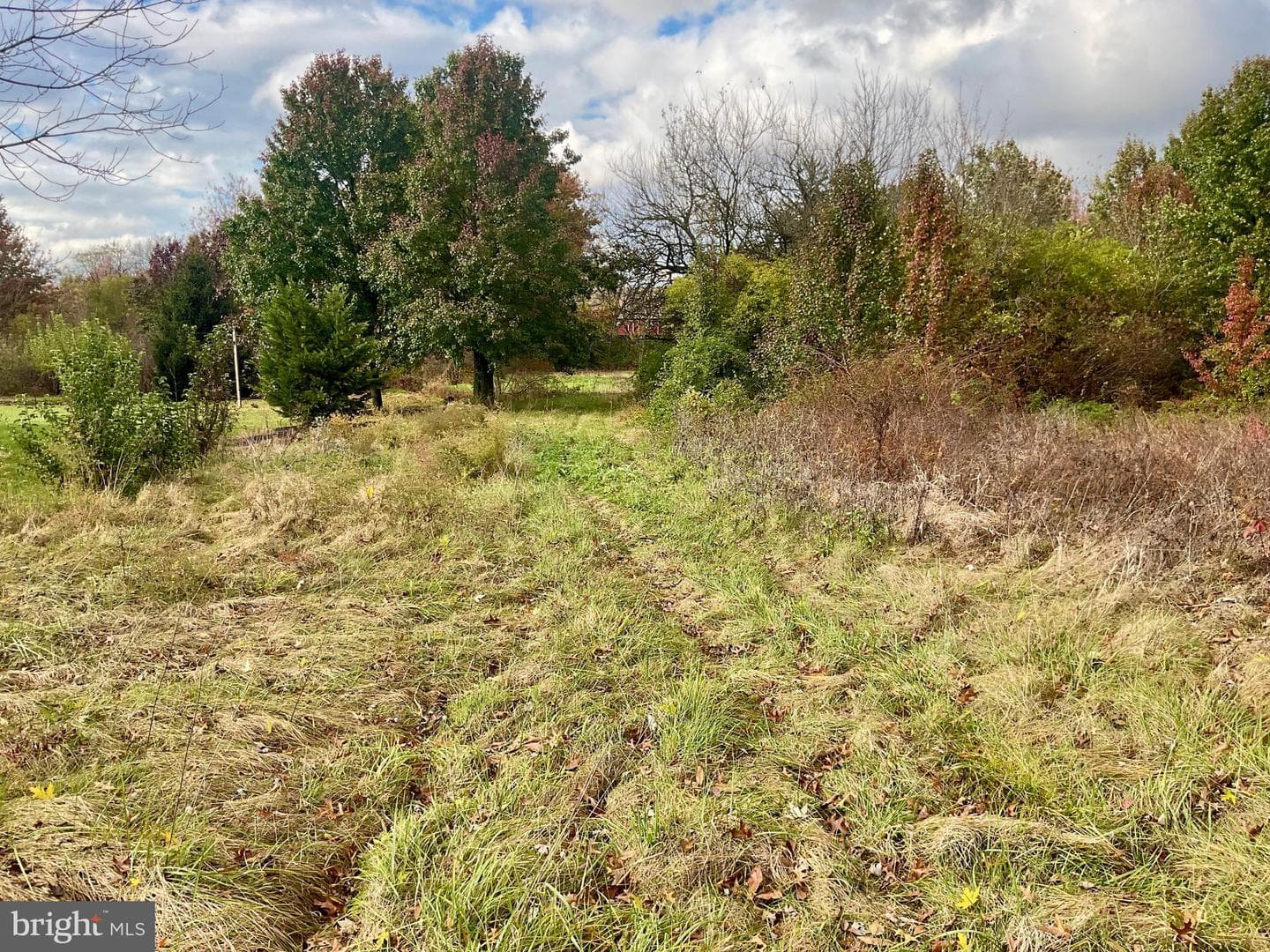 1145 Reading Road photo 60
