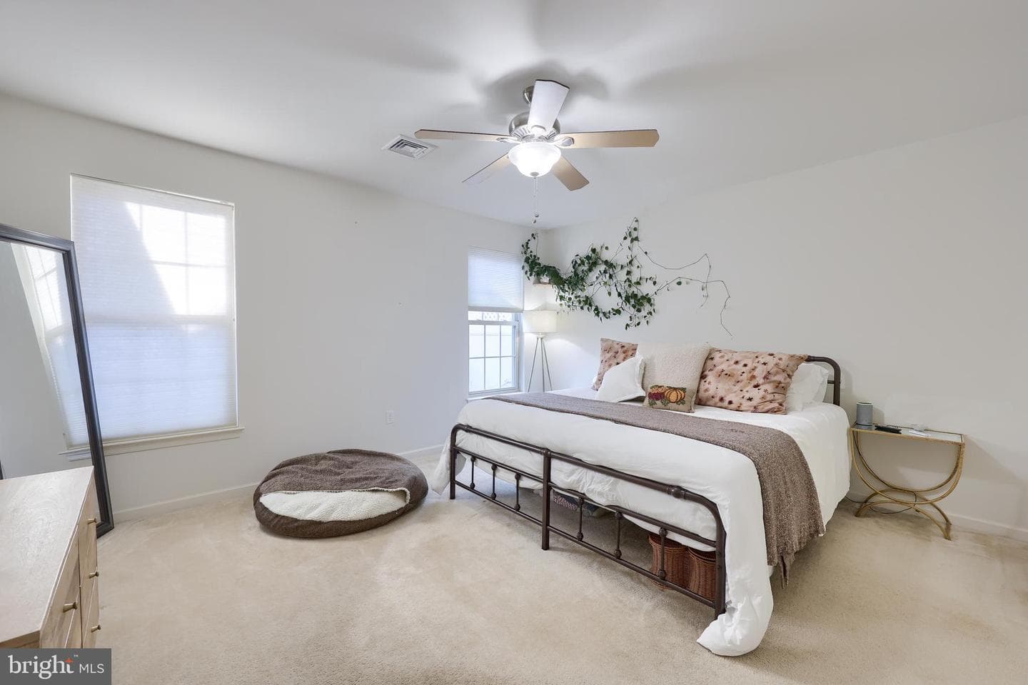 2 Pitt Court photo 18