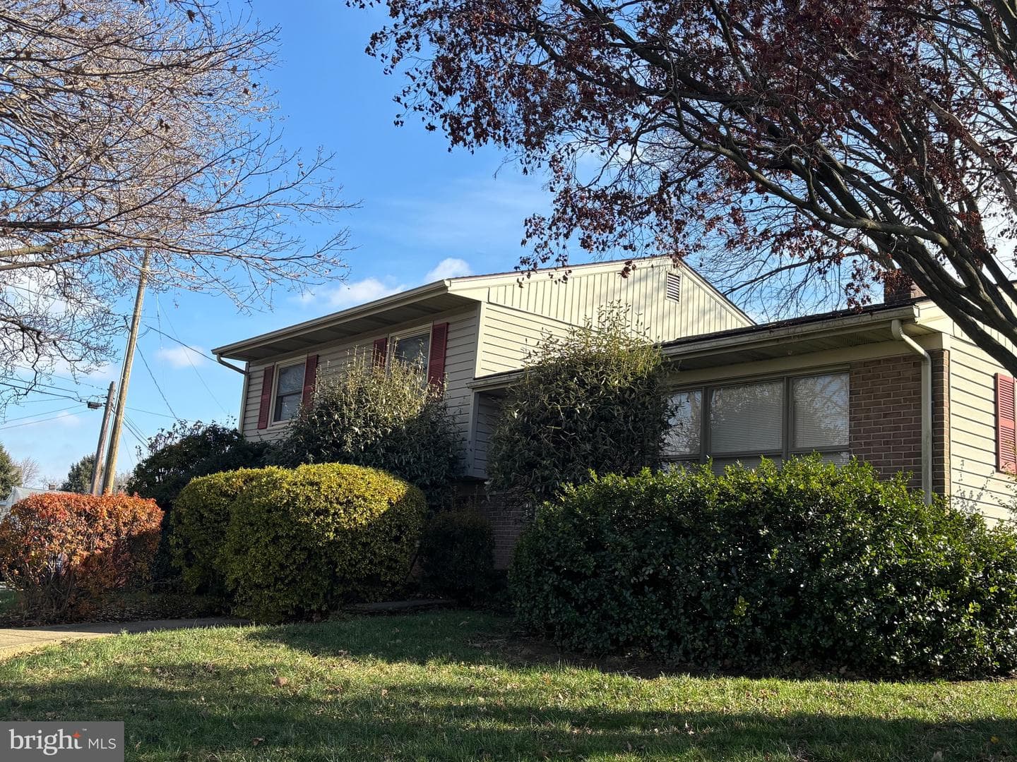 146 Mallard Avenue photo 5