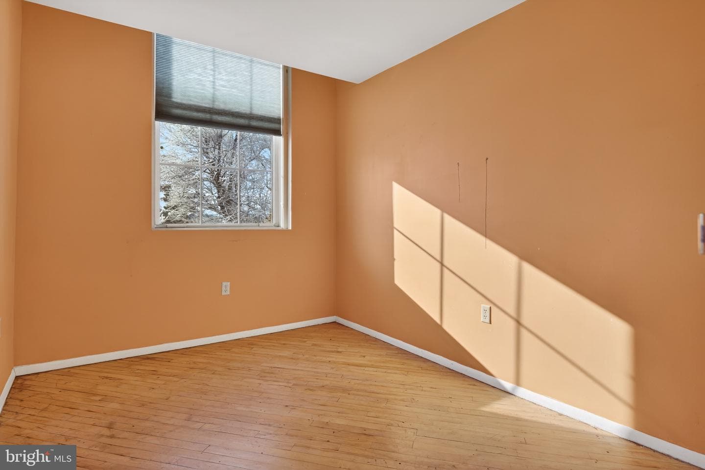 917 Columbia Avenue #232 photo 15