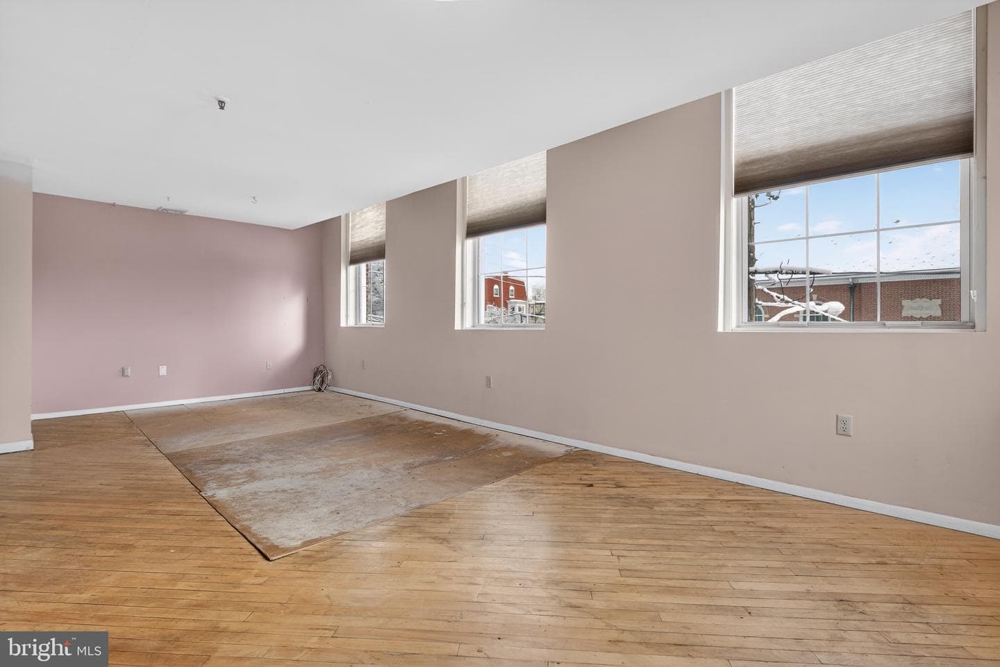 917 Columbia Avenue #232 photo 3
