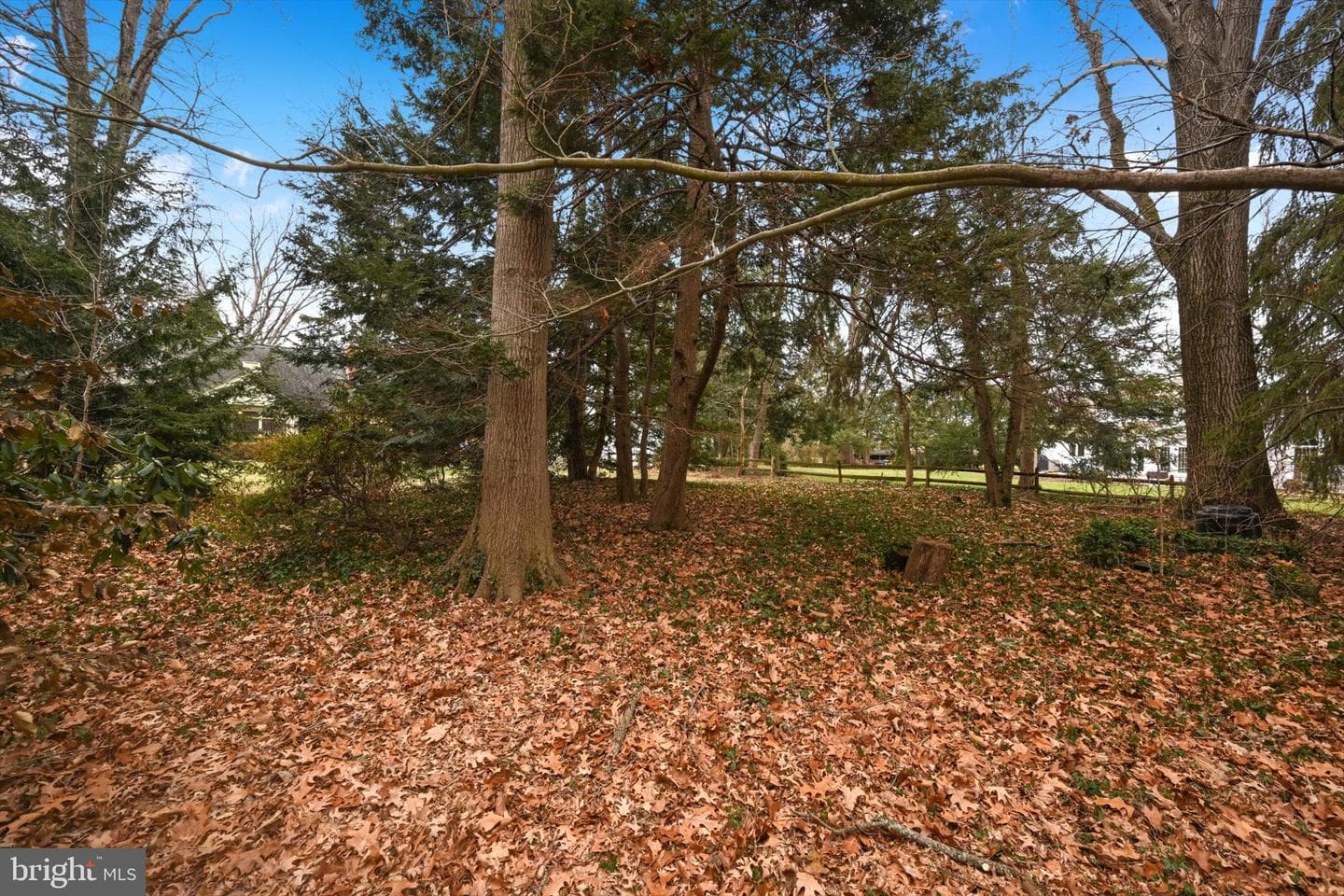411 Woodcrest Avenue photo 37