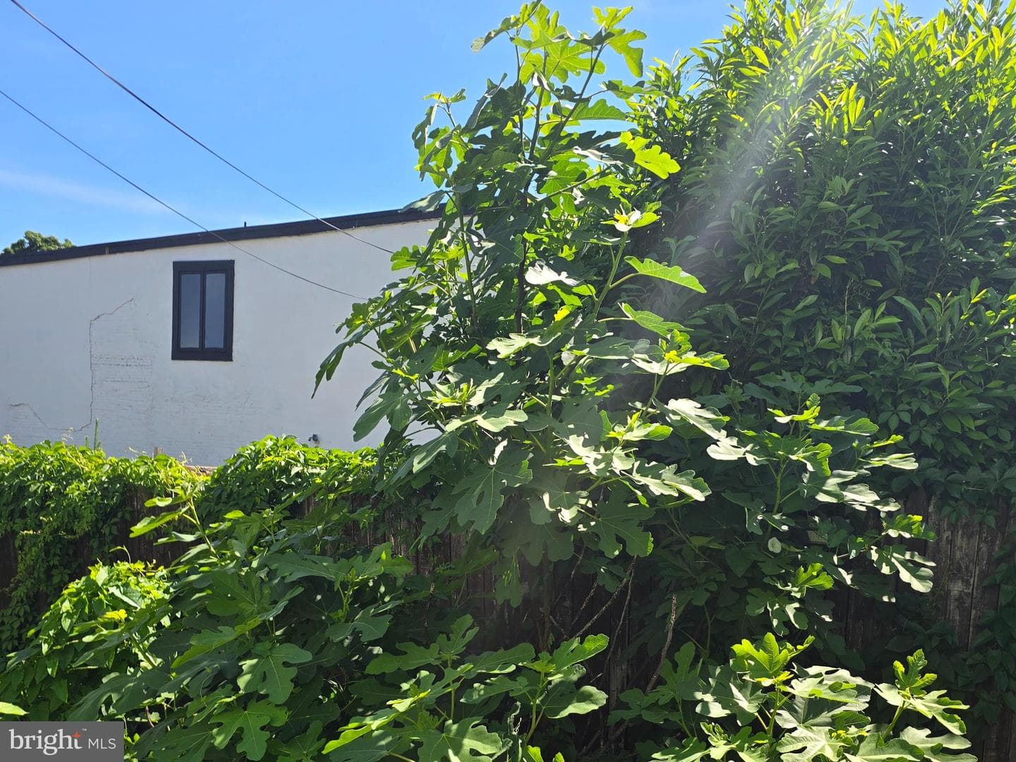 431 E Orange Street photo 43