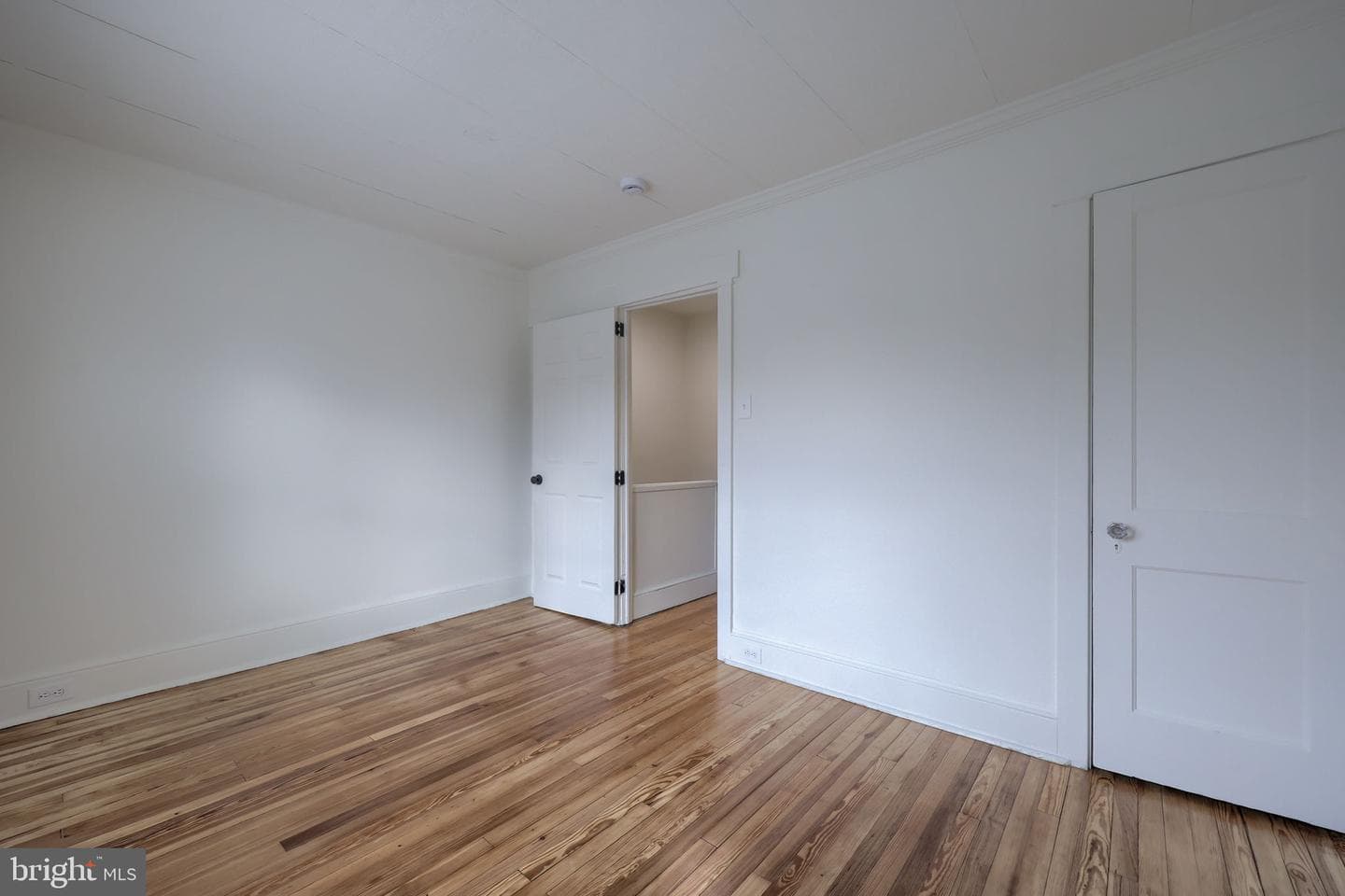 659 Lehigh Avenue photo 14